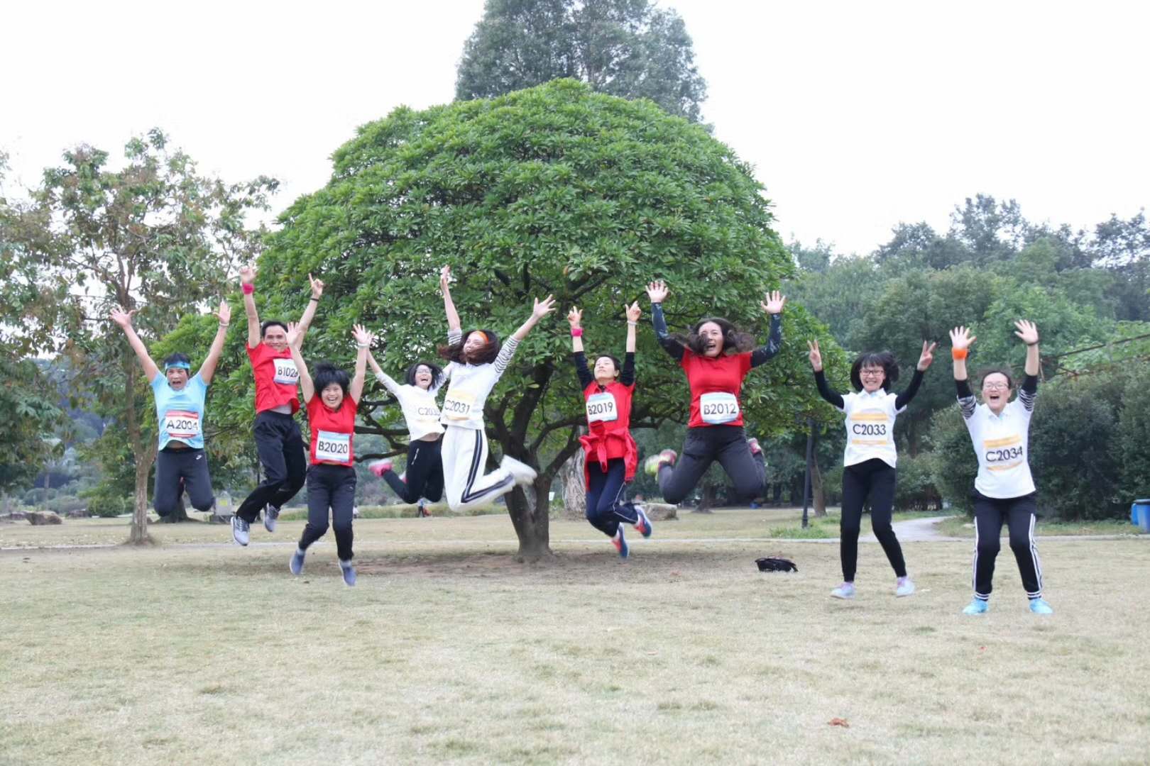 微信图片_20171218172918